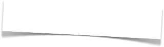 Endlich nicht mehr Gassi gehen müssen!
