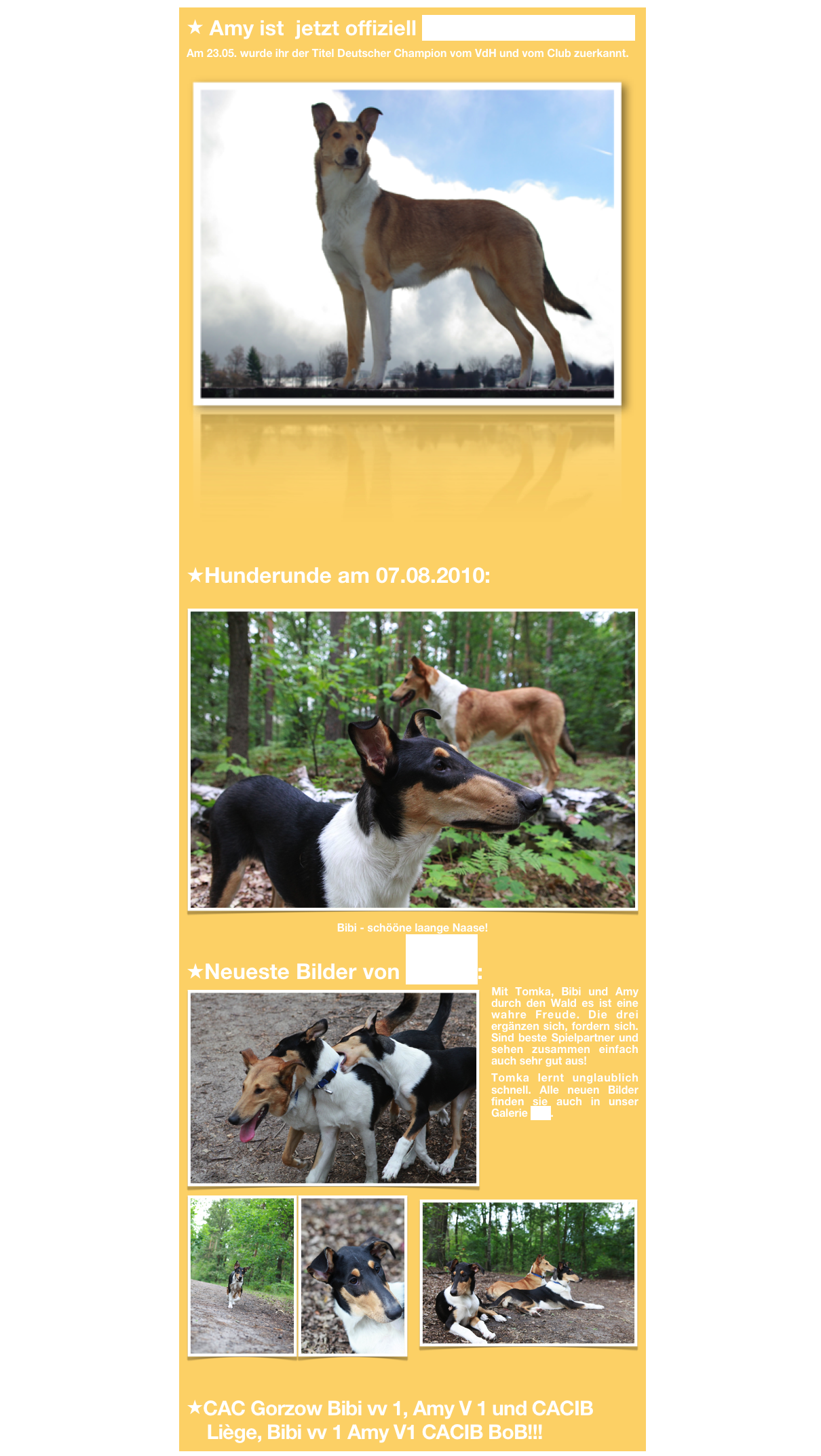  Amy ist  jetzt offiziell Deutscher Champion
Am 23.05. wurde ihr der Titel Deutscher Champion vom VdH und vom Club zuerkannt.
￼ 
Hunderunde am 07.08.2010:
￼
Bibi - schööne laange Naase!
Neueste Bilder von Tomka:  
￼Mit Tomka, Bibi und Amy durch den Wald es ist eine wahre Freude. Die drei ergänzen sich, fordern sich. Sind beste Spielpartner und sehen zusammen einfach auch sehr gut aus! 
Tomka lernt unglaublich schnell. Alle neuen Bilder finden sie auch in unser Galerie hier.
￼￼

￼
CAC Gorzow Bibi vv 1, Amy V 1 und CACIB 
    Liège, Bibi vv 1 Amy V1 CACIB BoB!!! 